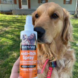 dog and anti-itch spray