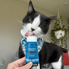 Person holding Multi-Vite Cat Paw-Gel in tube with black and white cat licking gel