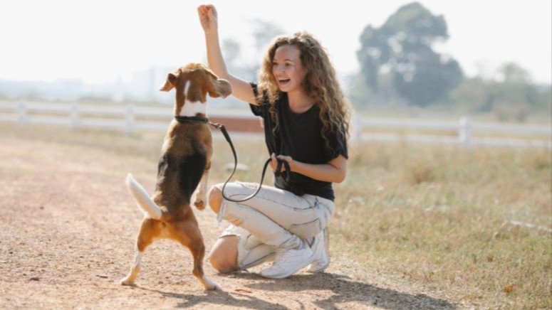 owner training dog on walk