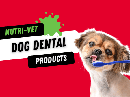 nutrivet dog dental products