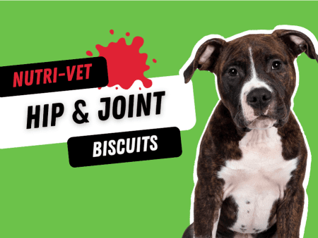 Nutri-Vet Hip & Joint Biscuits 300 mg