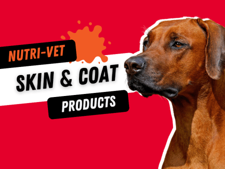 nutri-vet skin and coat for dogs